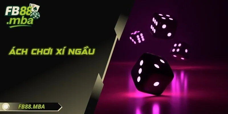 Cách Chơi Xí Ngầu - Mọi Mánh Khóe Để Trở Thành Một Cao Thủ