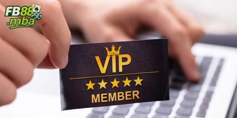 Hội viên VIP thường xuyên nhận được khuyến mãi độc quyền