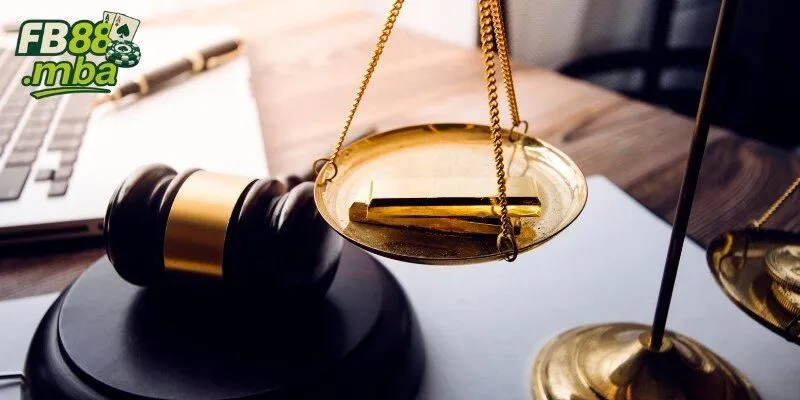 Tìm hiểu thông tin sơ lược về điều khoản cho hội viên